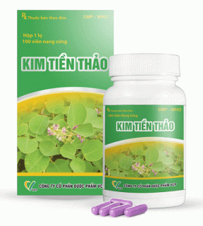 Kim Tiền Thảo VCP